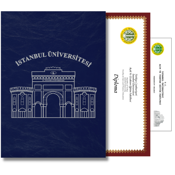 Diploma Baskısı ve Mavi Deri Diploma Dosyası Gümüş Yaldızlı Özel Tasarım