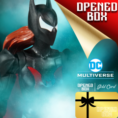 (OPENED BOX | GOLD CARD) - DC Multiverse Batman Beyond Series: Batwoman Aksiyon Figür