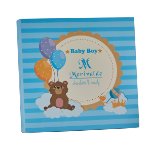Merivalde Baby Boy Chocolate Box 312 Gr