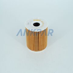 Volvo S40 V40 S70 C70 V70 XC70 S60 S80 XC90 Yağ Filtresi Benzinli 1275810