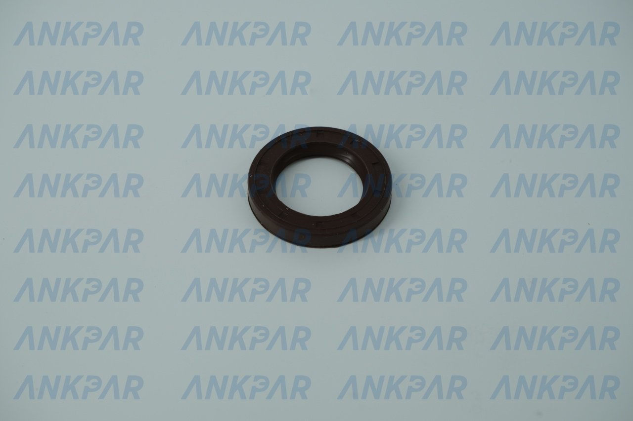 EKSANTİRİK KEÇESİ ARKA