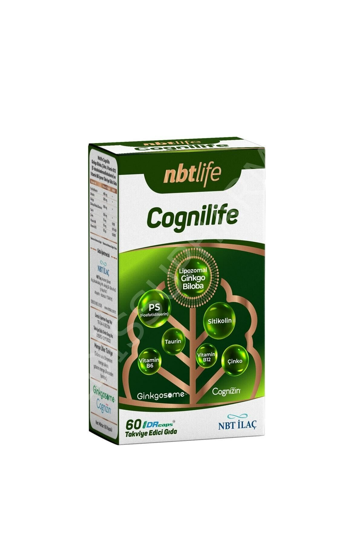 Nbtlife Cognilife 60 Kapsül