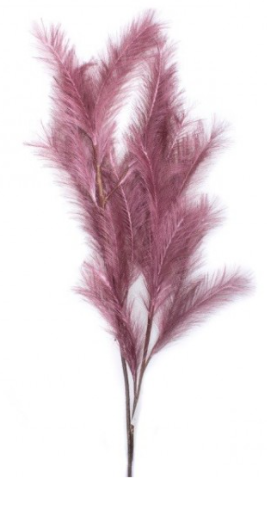 MAROON FEATHER