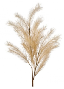 BEIGE FEATHER