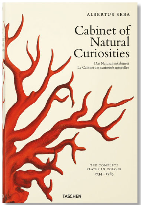 CABINET OF NATURAL CURIOSITIES