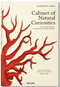 CABINET OF NATURAL CURIOSITIES