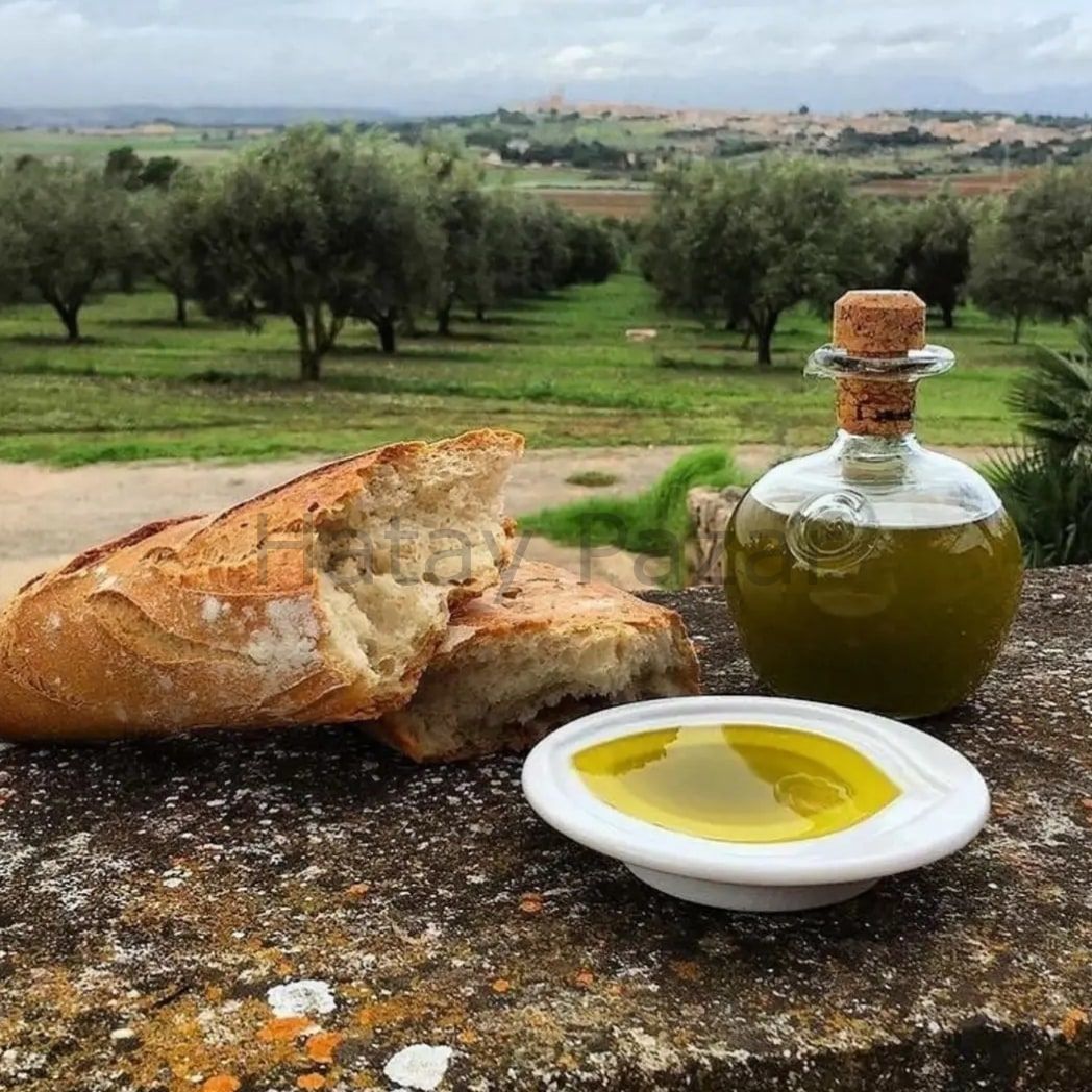 Erken Hasat Soğuk Sıkım Sızma Zeytinyağı