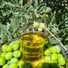 Erken Hasat Soğuk Sıkım Sızma Zeytinyağı