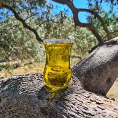 Erken Hasat Soğuk Sıkım Sızma Zeytinyağı