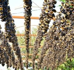 Ev Yapımı Kuru Patlıcan