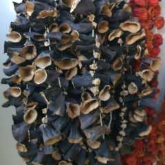 Ev Yapımı Kuru Patlıcan