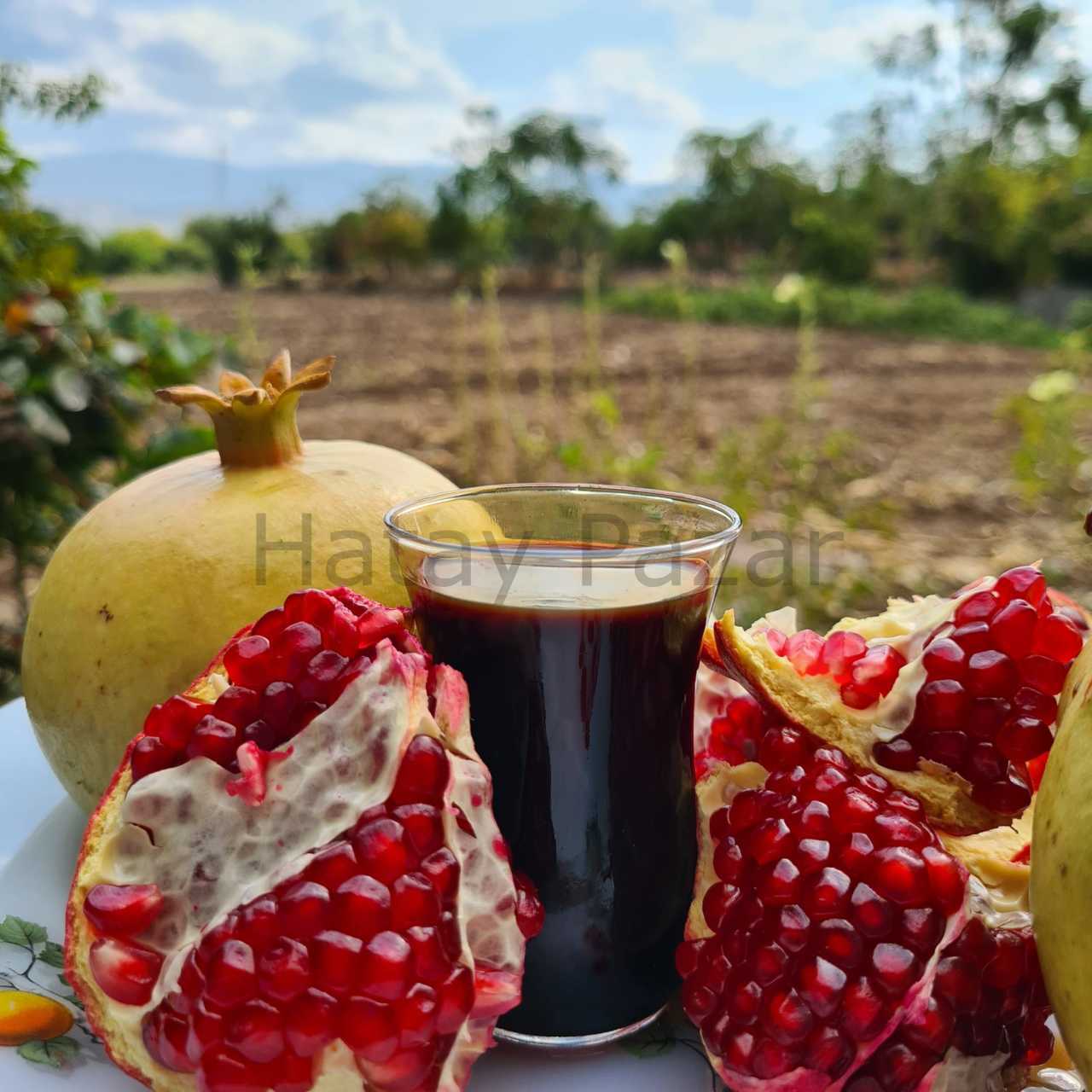 Ev Yapımı Cin Nar Ekşisi (Çok Ekşi)