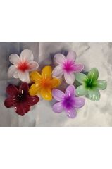 6'LI RENGARENK LOTUS ÇİÇEĞİ MANDAL TOKA 8 cm