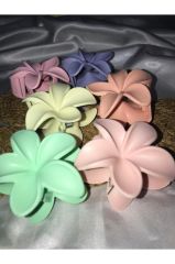 Kadın Büyük Boy 6'Lı (8cm) Renkli Lotus Toka Seti