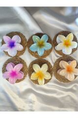 6'lı Rengarenk Lotus Çiçeği Mandal Toka 8 Cm