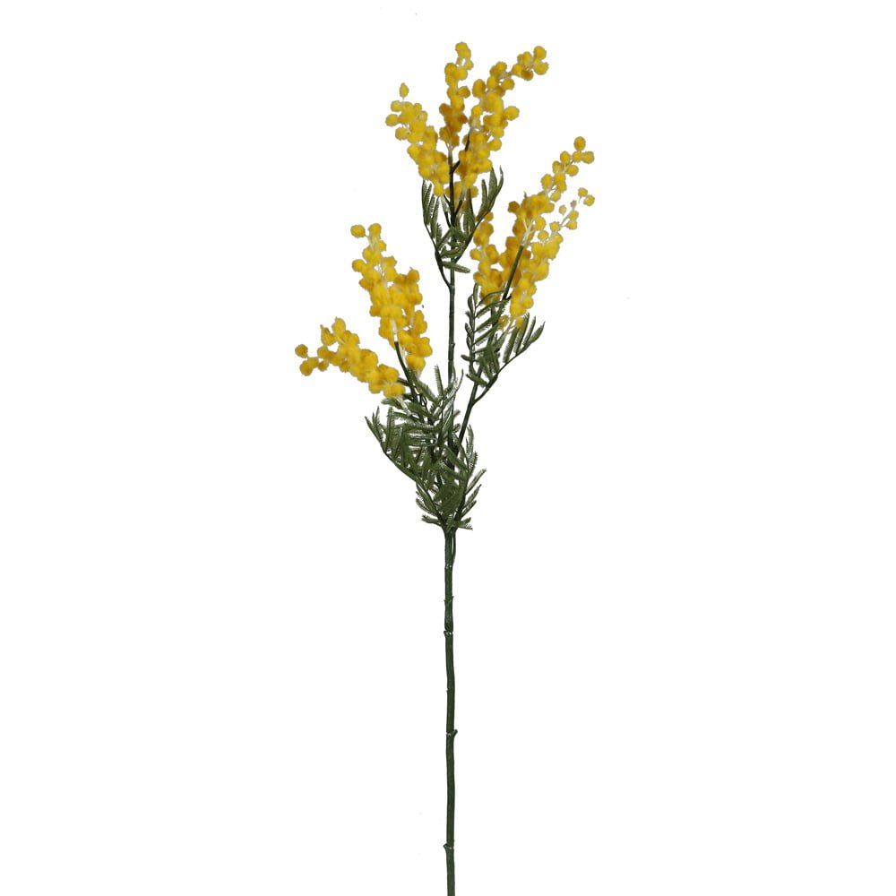 Mimoza Tek Dal