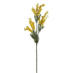Mimoza Tek Dal