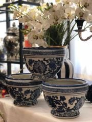 Blue Blank Saksı