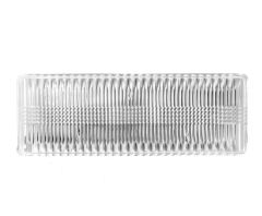 Büyük Dikdörtgen 2li Cam Servis Tabak 26x15x2cm