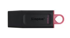Kingston 256GB DataTraveler Exodia USB 3.2 USB Flash Bellek