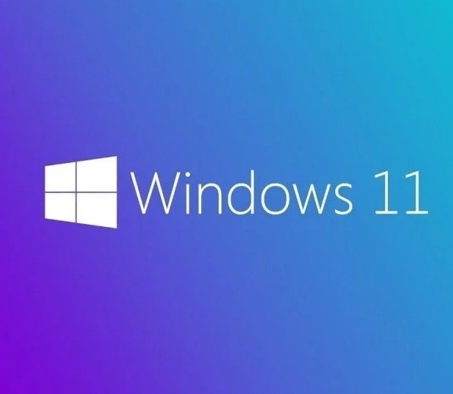 Microsoft Windows 11 Home 64 Bit İşletim Sistemi (KW9-00660)