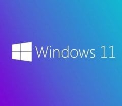 Microsoft Windows 11 Pro 64 Bit İşletim Sistemi (FQC-10556)
