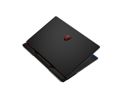 MSI RAIDER GE78HX 13VH-037TR i9-13950HX 64GB DDR5 RTX4080 GDDR6 12GB 2TB SSD 17.0'' QHD+ 240Hz W11 Notebook