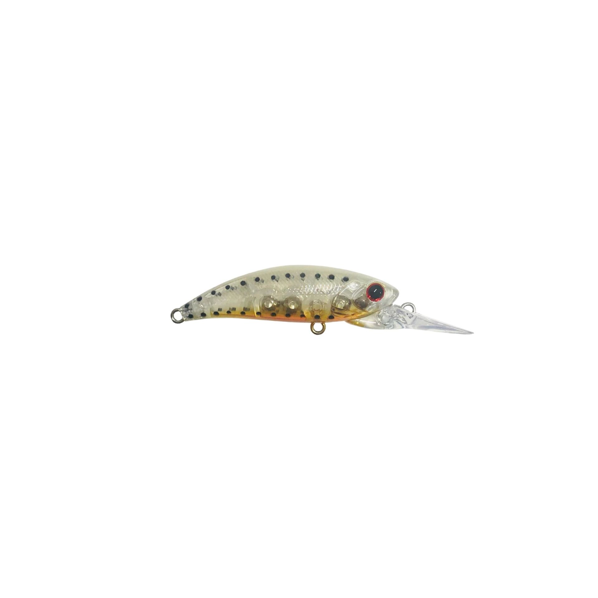 Hanfish Zıpır U-15 Dotted Shrimp