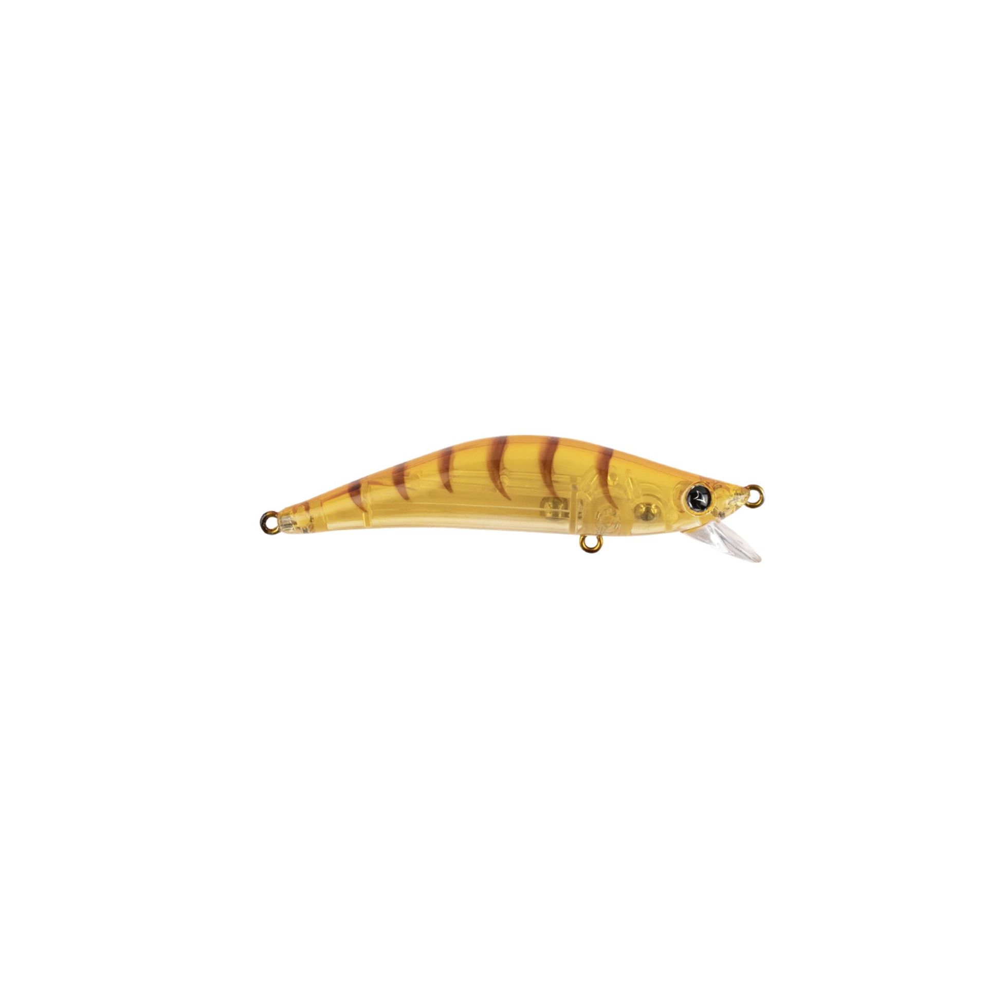 Hanfish Lokman LM200 - Honey Shrimp