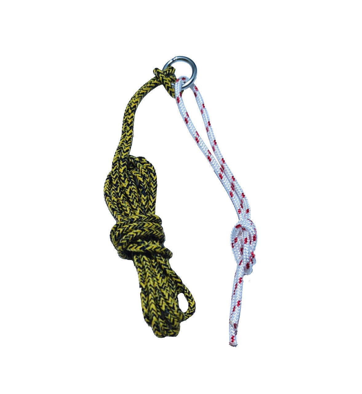 Sling Rope Training