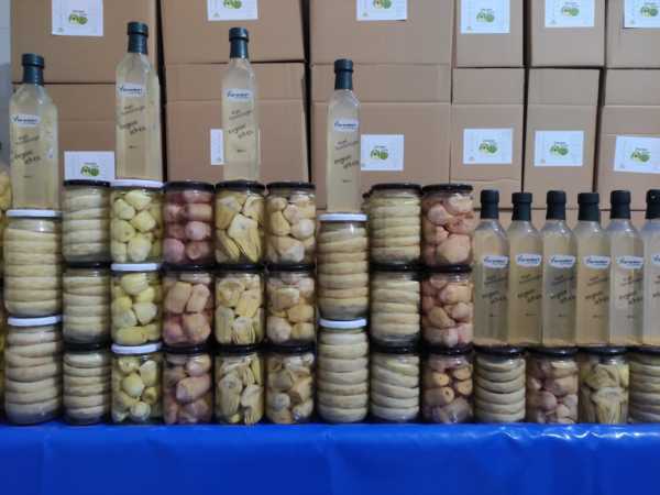 660 gr  mor capriccio kalp enginar konservesi