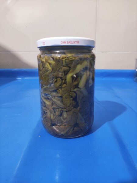 TURP OTU 660 GR