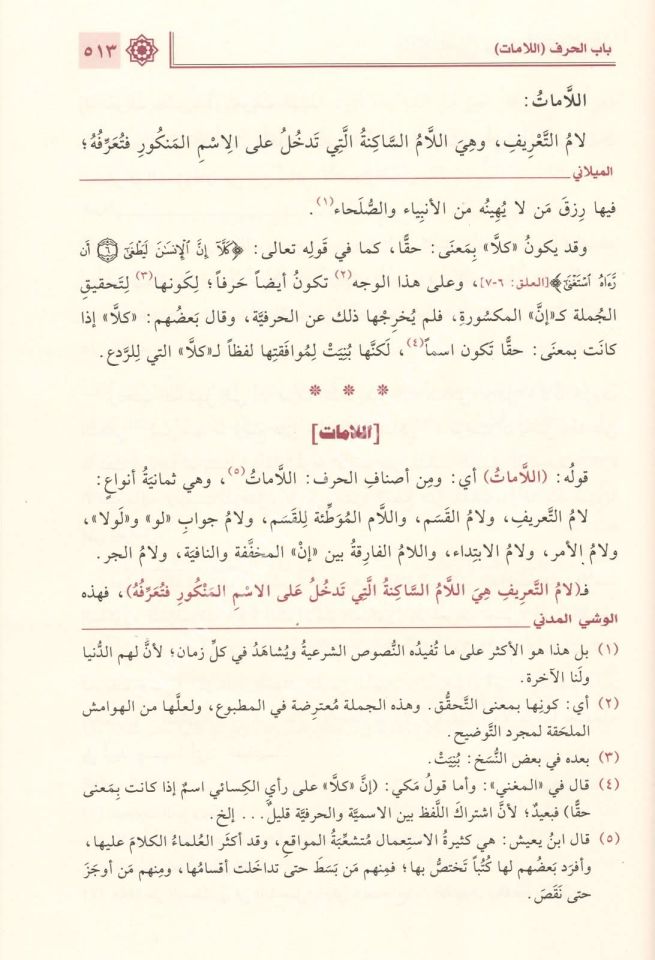 Şerhul Muğni Fin Nahv ve meahu el Veşyu-l müdni min Şerhi-l Muğni - Şemalı lüks Şamua baskı / شرح المغني في النحو ومعه الوحشي المدنيه من شرح المغني