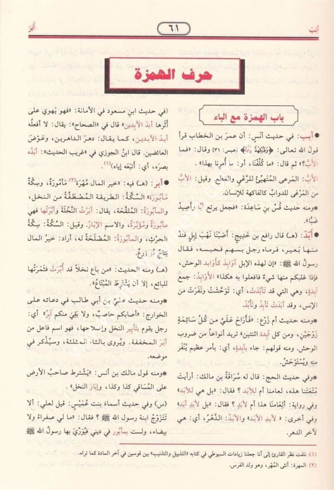 En-Nihaye fi Garibil-Hadis vel-Eser ve maahu Et-Tezyil vet-Teznib ala Nihayetil-Garib lil-İmam Es-Suyuti - النهاية في غريب الحديث والأثر
