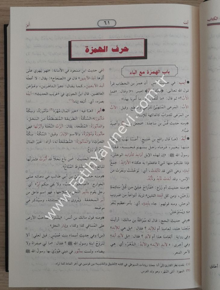 En-Nihaye fi Garibil-Hadis vel-Eser ve maahu Et-Tezyil vet-Teznib ala Nihayetil-Garib lil-İmam Es-Suyuti - النهاية في غريب الحديث والأثر