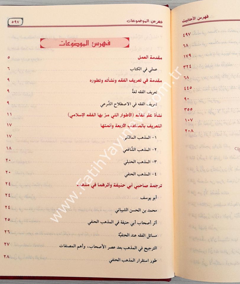 Merakıl Felâh Şerhu Metni Nûril Îzâh  - مراقي الفلاح شرح نور الإيضاح