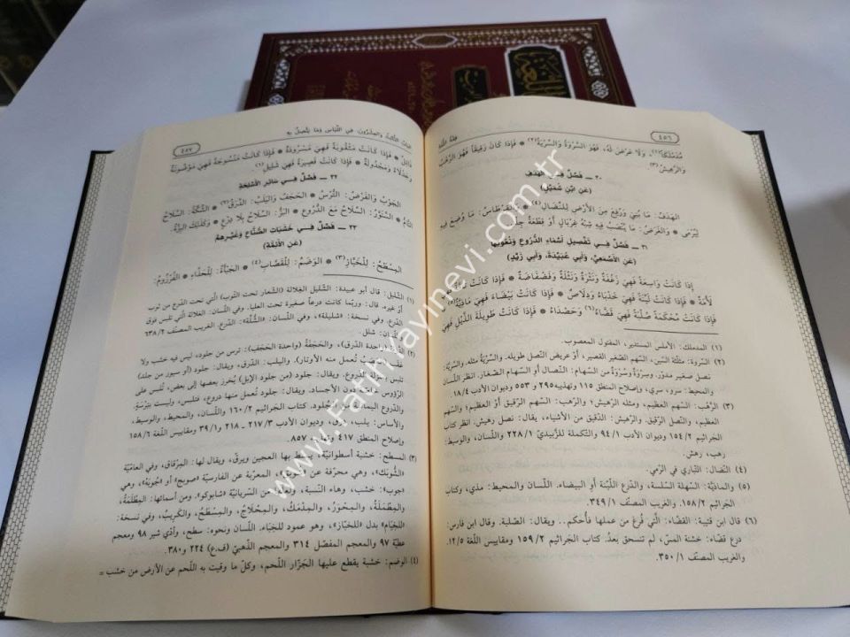 Fıkhül-Luğa ve Sırrül-Arabiyye - فقه اللغة وسر العربية