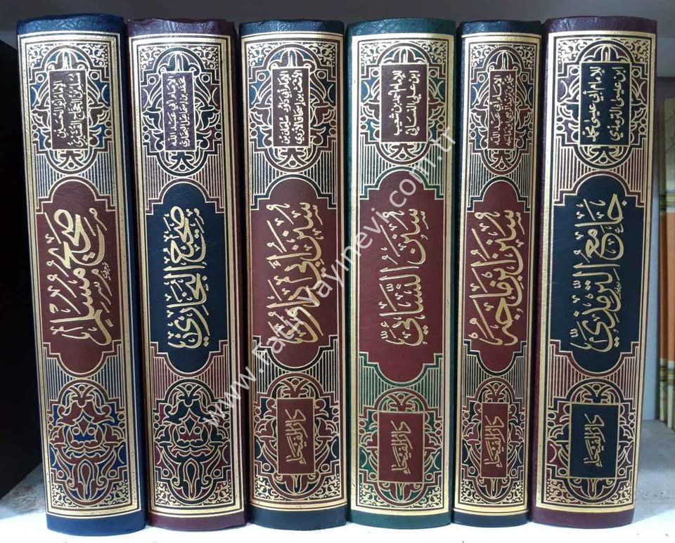 Sünenün Nesai (Feyha) / سنن النسائي