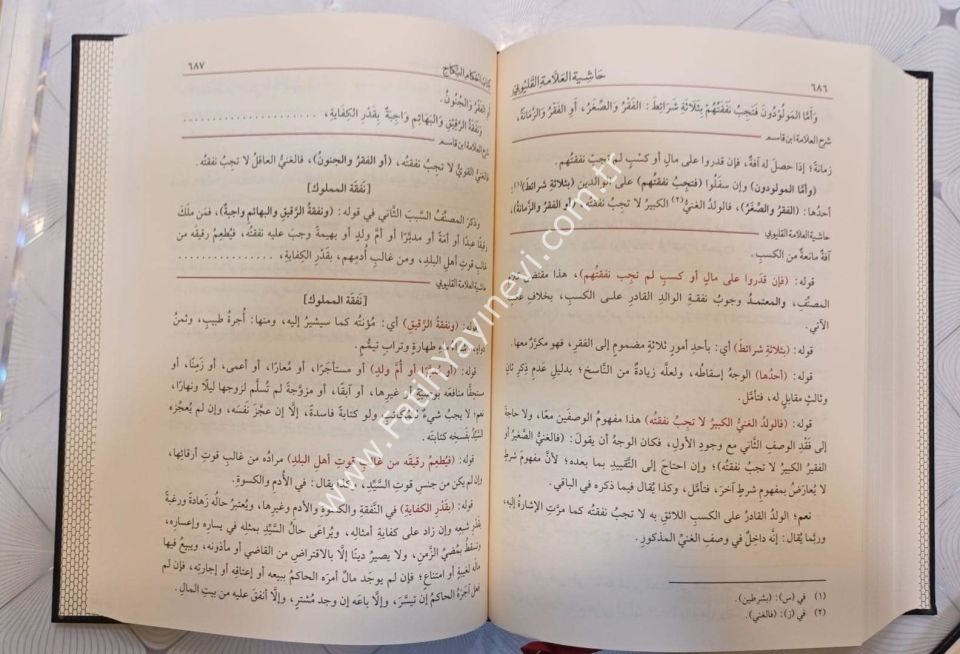 Haşiyetül Allame el Kalyubi ala Şerhil Allame İbn Kasım el Gazzi ala Metnil Kadi Ebi Şüca - حاشية العلامة القليوبي على شرح العلامة ابن قاسم الغزي على متن القاضي أبي شجاع