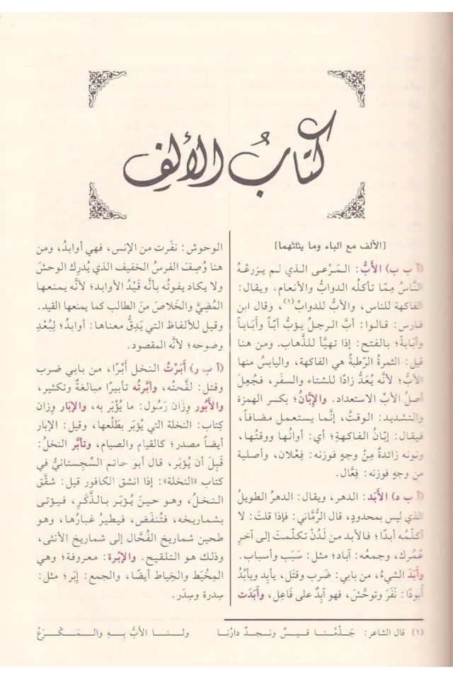 Kamus-u El Misbahül Münir fi Garibi-ş Şerhi-l Kebir - قاموص المصباح المنير في غريب الشرح الكبير