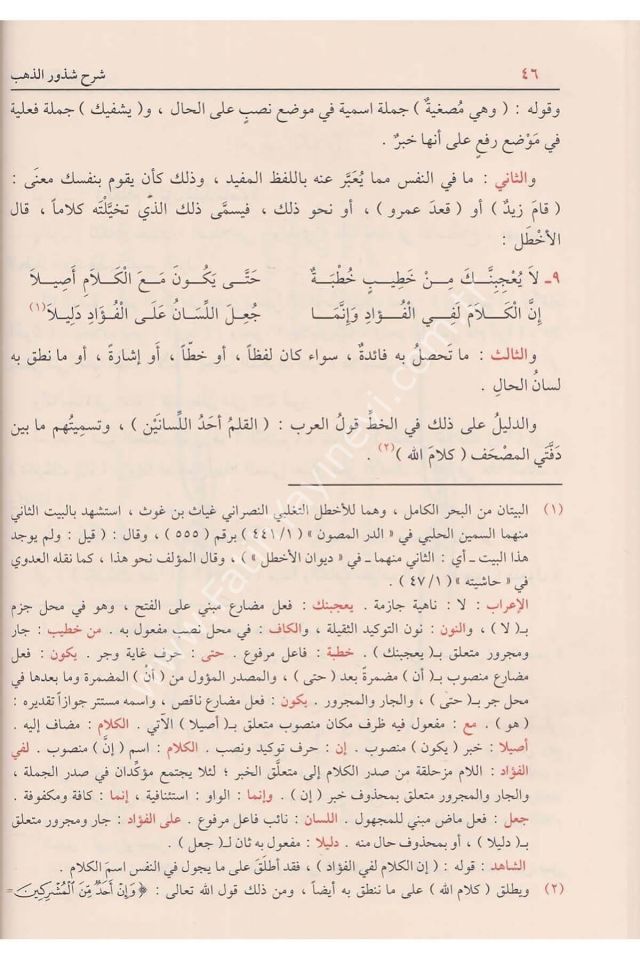 Şerhu Şuzuri-z Zeheb fi Ma'rifeti Kelami-l Arab (İn-i Hişam el Ensari ) / شرح شذور الذهب في معرفة كلام العرب