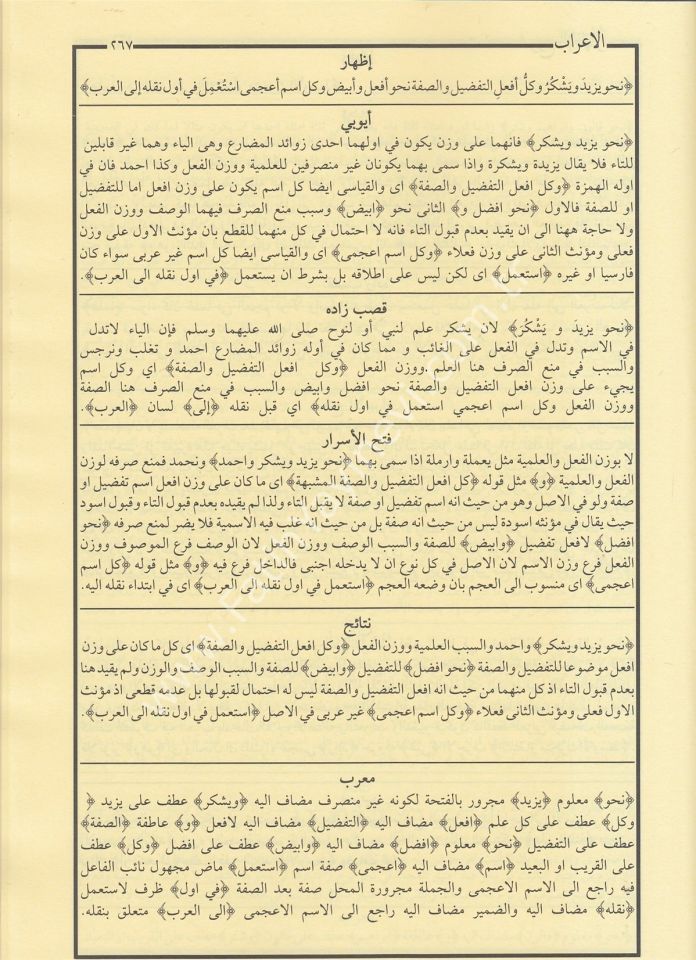 Şuruhu’l-İzhar – İzhar Metni ve Beraberinde 5 Şerh - Eyyübi, KasapZade, Fethul Esrar, Netaicul Efkar, Mu'ribul İzhar - / شروح الإظهار ويحتوي على ستة كتب من شروح الإظهار
