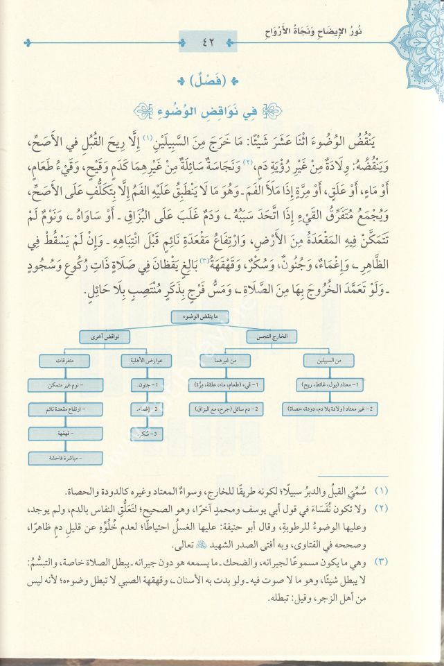 Nurül - İzah ve Necatül - Ervah fil - Fıkhil - Hanefi (ŞEMALI GENİŞ TAHKİKLİ YENİ DİZGİ ) - نور الإيضاح ونجاة الأرواح