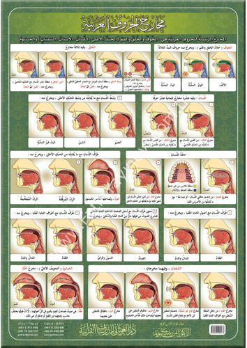 لوحة مخارج الحروف العربية قياس 70×100 / غوثاني