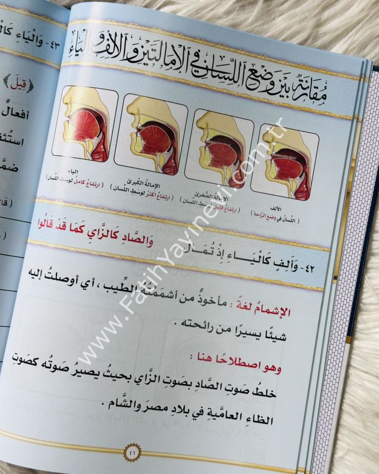 شرح منظومة المفيد في التجويد