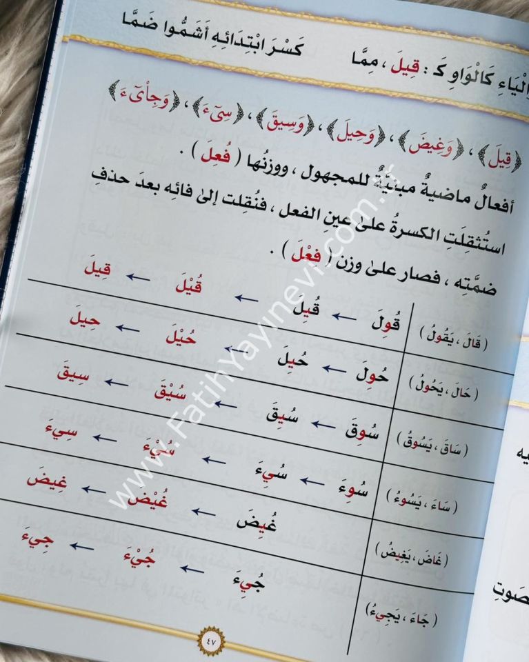شرح منظومة المفيد في التجويد