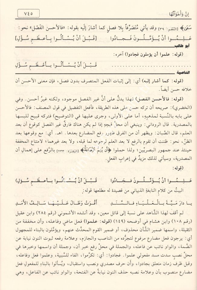 el-Mecmûʿatu'n-Nâsiyye (Elfiye Şerhleri Mecmuası) / المجموعة الناصية موسوعة نحوية حافلة نظم الخلاصة