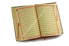 Plastik Rahle - Pratik Rahle - Masa Üstü Rahlesi - Kitap Okuma Standı - (Bakır Rengi)