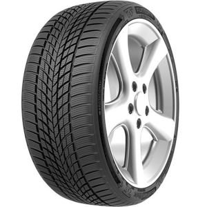 Funtoma 195/65R15 91H RoadFun Winter (Kış) (2024)