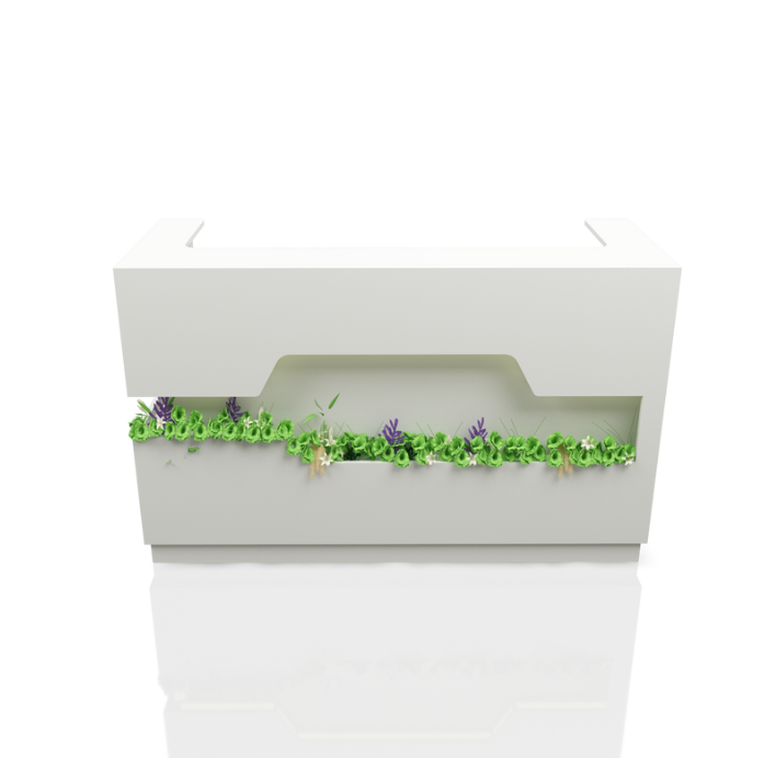 Akr Ofis Botanik Banko